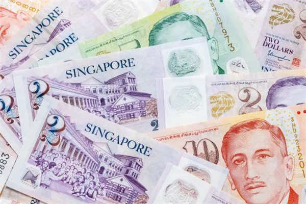 新加坡的移民费用包括哪些内容